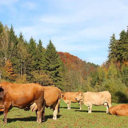 Urlaub Mitten Im Wald - Lueg Scheibbs Экстерьер фото