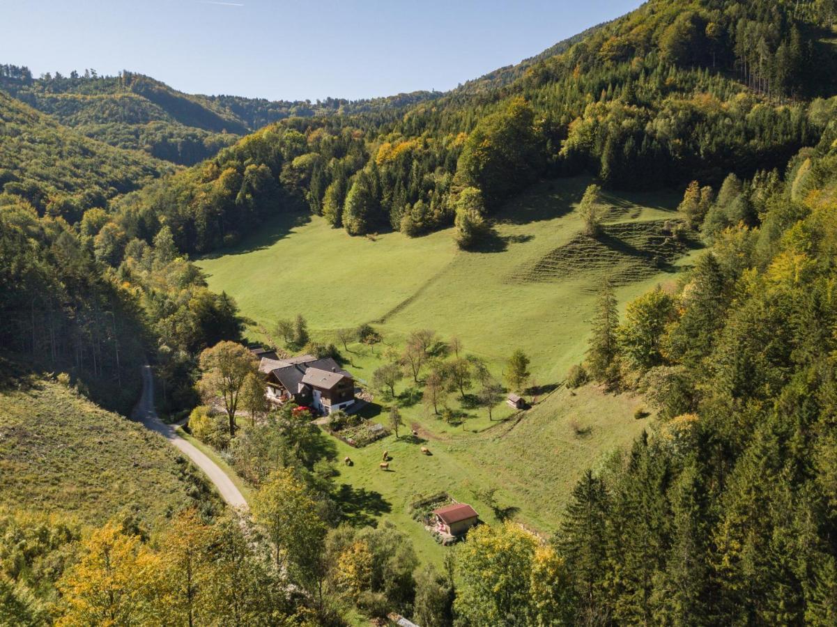 Urlaub Mitten Im Wald - Lueg Scheibbs Экстерьер фото