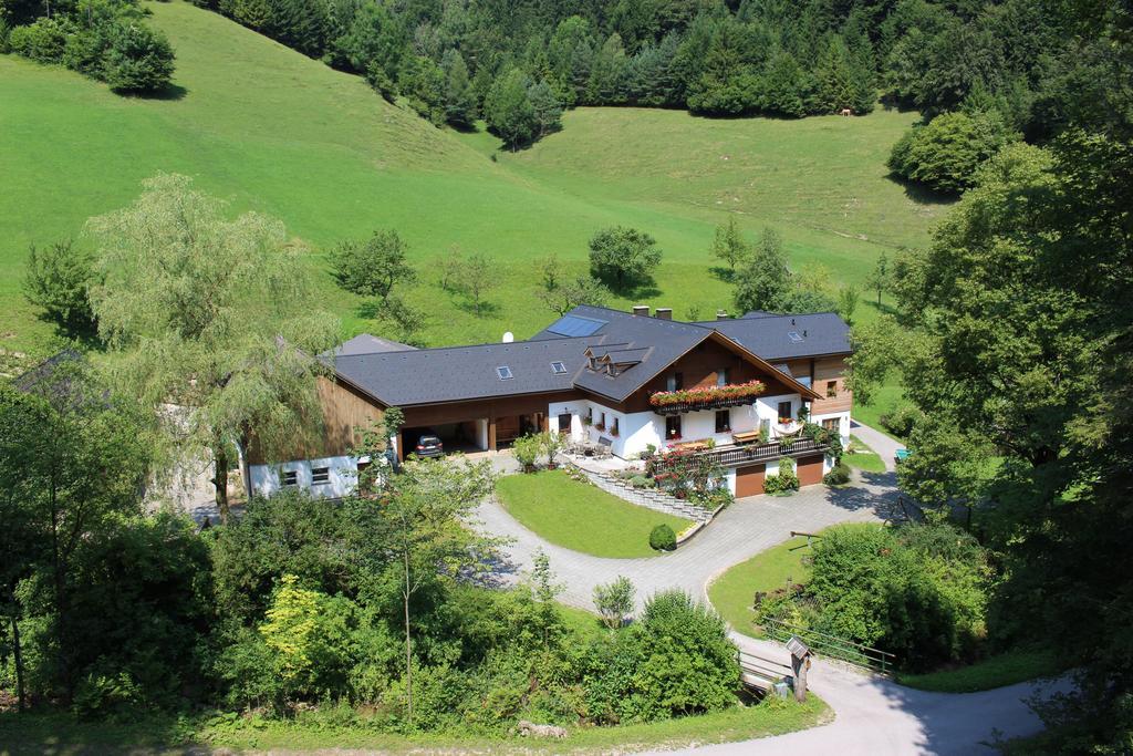 Urlaub Mitten Im Wald - Lueg Scheibbs Экстерьер фото