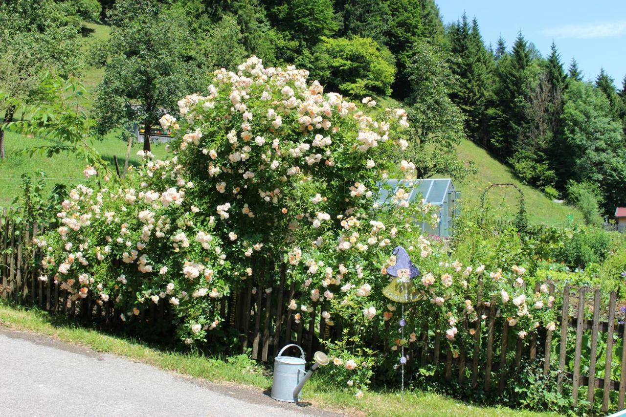 Urlaub Mitten Im Wald - Lueg Scheibbs Экстерьер фото
