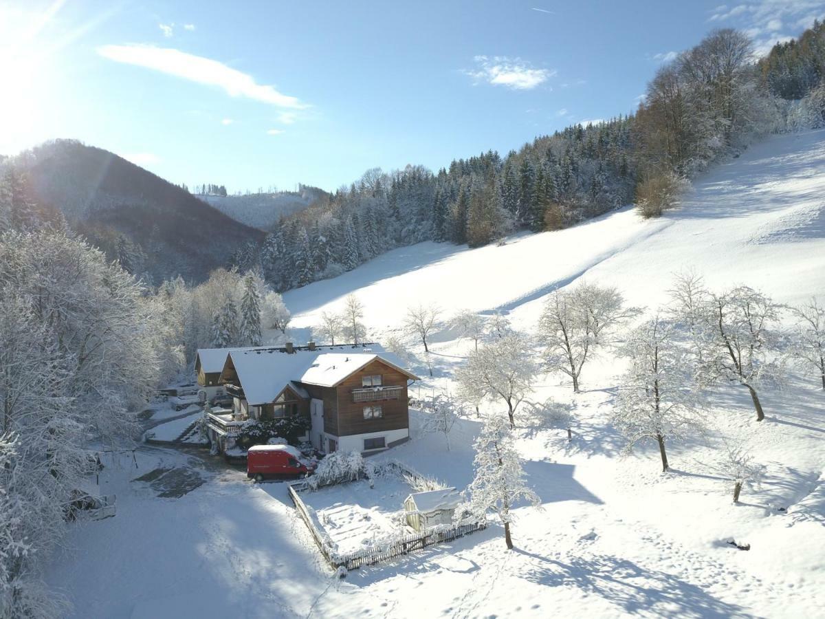 Urlaub Mitten Im Wald - Lueg Scheibbs Экстерьер фото
