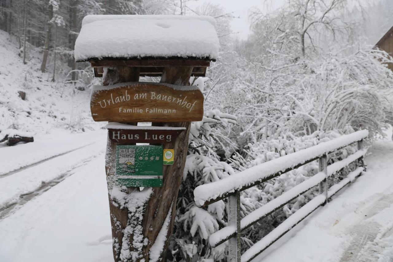 Urlaub Mitten Im Wald - Lueg Scheibbs Экстерьер фото